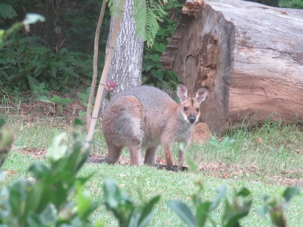 Keillor Lodge Maleny Bed & Breakfast