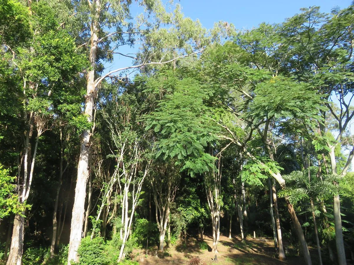 Bed & Breakfast Keillor Lodge Maleny