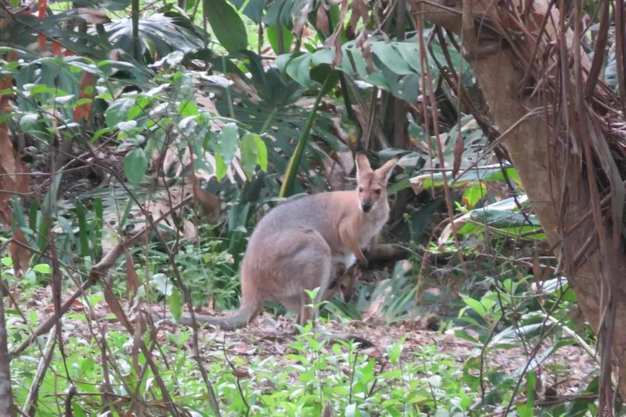 Bed & Breakfast Keillor Lodge Maleny